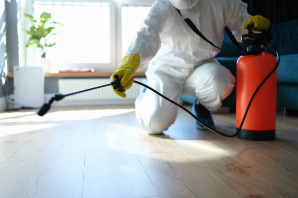 Professional Pest Control in Ossun, LA