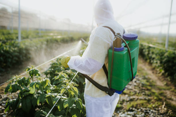 Best Wildlife Control Services  in Ossun, LA
